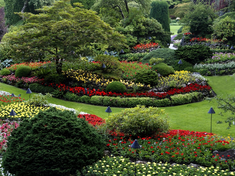Layered flower beds and shaped shrubs in a well-maintained garden