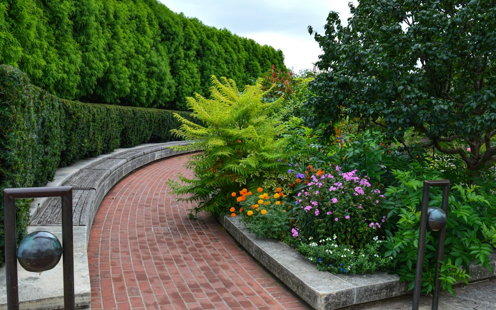 A brick garden path bordered by planted flower beds and shaped shrubs