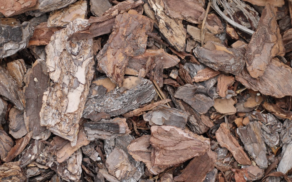 Fresh bark mulch spread evenly across a garden bed