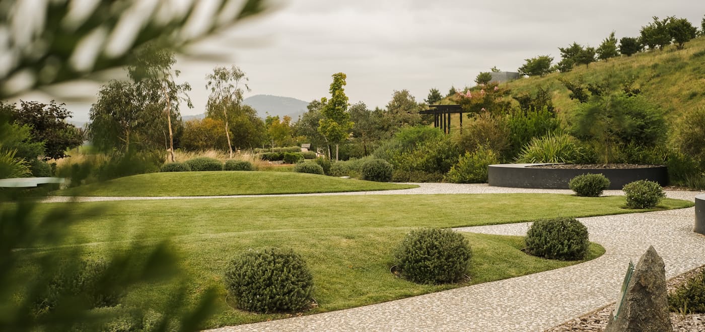 A wide manicured lawn framed by shaped shrubs and mature trees